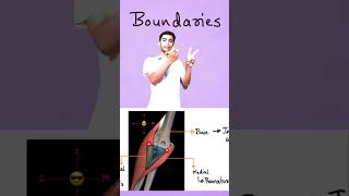 Mastering the Cubital Fossa Boundaries and Contents Explained for 1st Year MBBS Student [upl. by Esyli]