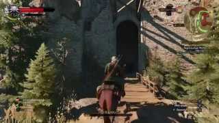 The Witcher 3  Cebo para un Colihendido [upl. by Hedelman]