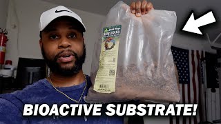 Joshs Frogs BioBedding Tropical Bioactive Substrate Review  GET THIS FOR YOUR CRESTED GECKO [upl. by Neilson802]