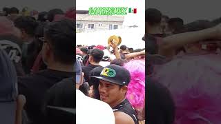 Mojigangas de Alta Palmira Temixco Morelos 🇲🇽🎭🎉 16 de septiembre fiestaspatrias mojigangas [upl. by Joey]