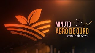 Grãos caem custoBrasil no Agro café meta climática e protesto de franceses  Minuto Agro  1611 [upl. by Atiuqam]