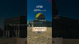 Surah AtTin  التين  By Mishary ashid Alafasy  With Translations  shorts surahattin ourislam [upl. by Irakab227]