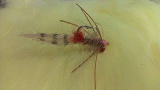 Fly tying The Spam and Eggs Bonefish Fly [upl. by Aicinod]