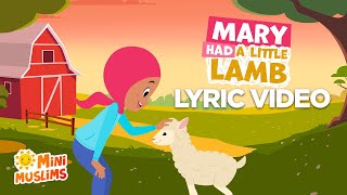 Mary Had a Little Lamb Eid Song 🐑 Lyric Video  MiniMuslims ☀️ [upl. by Wenn]