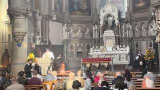 Sermon at the York Oratory on the external solemnity of the Holy Rosary [upl. by Eniotna836]