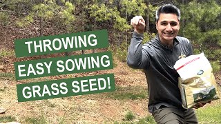 Grass Seed Throwdown Tall Fescue seeding on a budget [upl. by Danita]