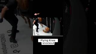 Flying Knee knock out [upl. by Connolly]