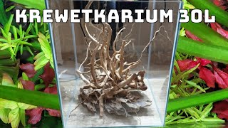 Zakładanie Krewetkarium 30l [upl. by Aihsel]