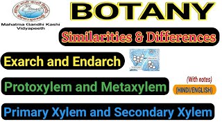 Protoxylem and MetaxylemExarch and EndarchPrimary xylem and Secondary Xylem [upl. by Lahpos955]