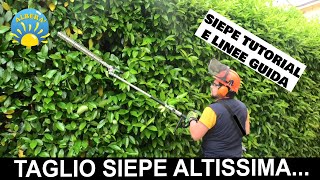 TUTORIAL POTATURA SIEPE altissima quasi 4 metri PROVA PRATICA DI TAGLIO da terra e LINEE GUIDA [upl. by Almap230]