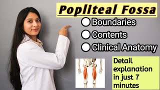 Popliteal Fossa Anatomy HINDI  Simplified  Boundaries Content Clinical Anatomy  Lower Limb [upl. by Enyallij]