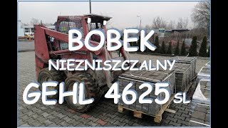 GEHL 4625 SL Mini ładowarka skidsteer mini loader brukarzbydgoszcz brukarzyoutube gehl4625 [upl. by Fidela28]