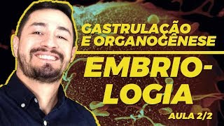 EMBRIOLOGIA  Gastrulação e organogênese  AULA 22 [upl. by Irv]