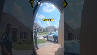 The Funniest Doorbell Cam Ever  Cop Gets Unexpected Surprise 😂 shorts [upl. by Kerrin]