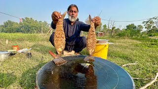 Fish Recipe Tawa Fry Fish Fish Fry Whole Fish Fry Recipe  Fish Cutting  Mubarak Ali [upl. by Tigram]