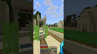 Minecraft New Village Walkway mc minecraft realms multiplayer shorts [upl. by Hein]