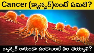 Cancer Explained in Telugu  What is Cancer Causes Symptoms Stages Types in Telugu Badi [upl. by Llyrehc]