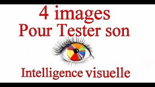 Test dintelligence visuelle  4 images pour tester votre intelligence visuelle [upl. by Trevor]