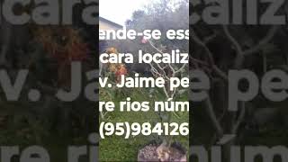 Chácara a venda 95984126680 Tem vídeo dessa chácara aqui no canal [upl. by Ashmead]