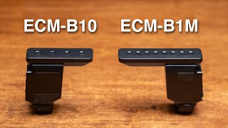 Sony ECMB10 vs ECMB1M  HeadtoHead Sound Comparison [upl. by Llenehc]