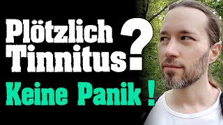 Plötzlich Tinnitus Keine Panik [upl. by Nilyram]