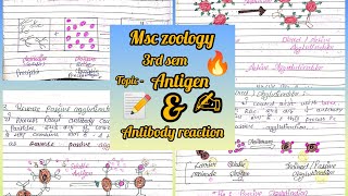 antigen and antibody reaction msc zoology 3rd sem notes immunology ✍️📝✨ [upl. by Attiuqaj]