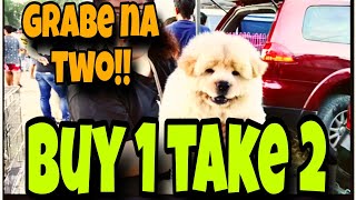 BUY 1 TAKE 2 DITO SA BOCAUE PET MARKET December 29 2023 [upl. by Ahseikal]