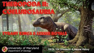 Lecture 23 Theropoda II Coelurosauria Tyrant Kings and Lesser Royals [upl. by Lida]