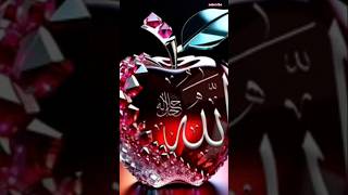 YouTubeshorts Islamic love video 🕋 [upl. by Anoval]