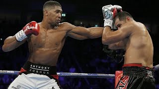 Anthony Joshua Vs Eric Molina Highlights IBF Title [upl. by Viddah642]