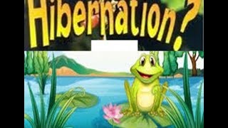 Hibernation Definition for Kids  ToddlersKindergartenPreschoolers [upl. by Bendicty]