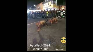 😈leibnitzer lauf Steiermark😈 [upl. by Virginie]