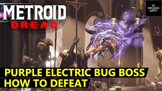 Metroid Dread Purple Electric Bug Boss  How to Defeat Ferenia Boss [upl. by Merfe]