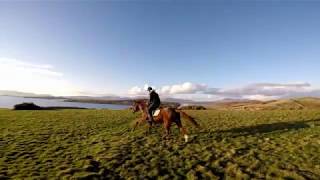 Ireland Westport Carrowholly Stables amp Trekking Centre [upl. by Iyre]