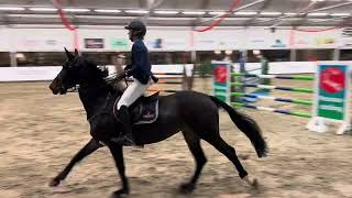 Katharina Karla by Namelus r x corland  1m35 NIC Salland 6th place [upl. by Sherie]