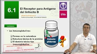 61 EL RECEPTOR PARA ANTÍGENO DEL LINFOCITO B [upl. by Valtin728]