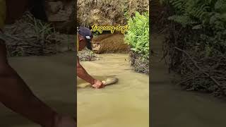 Mendadak kaya  Saya menemukan urat emas di tebing sungai saat mendulang emas [upl. by Klinges585]