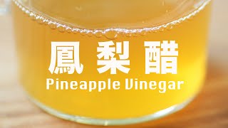 酒如何變成醋❓酒醋的前世今生⁉️如何自釀超好喝 How to Make Pineapple Vinegar beanpandacook [upl. by Amlev]