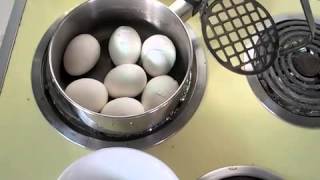 How To Boil Eggs EasyPeel  Shell falls right off the cooked egg [upl. by Trudi]