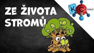 Ze života stromů [upl. by Ailecnarf604]