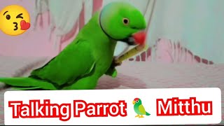 Bolne wala Tota Mithu So Cute 🥰 talking parrot mummy papa 😍😘🥰❤️🦜 [upl. by Mile]