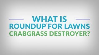 Should You Apply Crabgrass Preventer or Seed in SPRING [upl. by Illib]