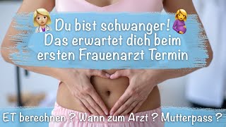 Der erste Frauenarzt Termin in der Schwangerschaft Das erwarte dich jetzt [upl. by Ydnim]