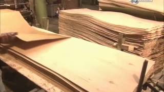 How its made  Plywood doors [upl. by Ennoved]