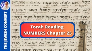 Numbers Chapter 25  Torah Reading in Hebrew with English Translation  TORAH STUDY [upl. by Skell446]