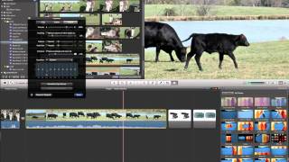 iMovie 11 Tutorial  Noise Reduction [upl. by Slohcin]