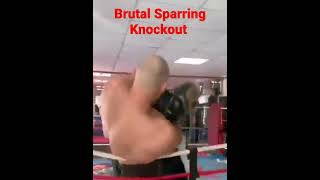 Brutal Sparring Knockout knockout sparring outcold speed miketyson tysonfury anthonyjoshua [upl. by Naginarb45]