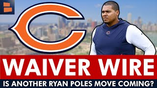 Chicago Bears Waiver Wire Targets Does Ryan Poles Have Another Move Up His Sleeve [upl. by Najar840]