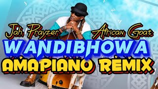 Jah Prayzah ft Sha Sha  Wandibhowa Amapiano Remix African Goat [upl. by Francisco]