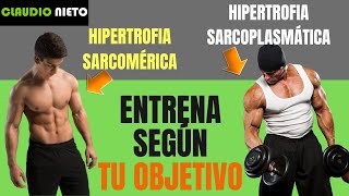 Hipertrofia Sarcomérica y Sarcoplasmática DESCUBRE el TIPO DE CRECIMENTO MUSCULAR que te conviene💪 [upl. by Ilhsa272]